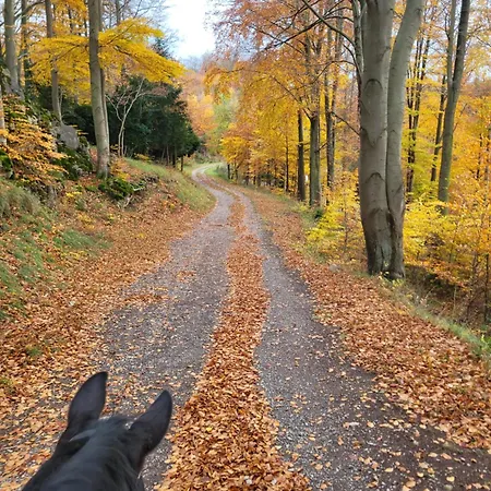 Appartamento Ah Helledahls Weyer (Limburg-Weilburg)