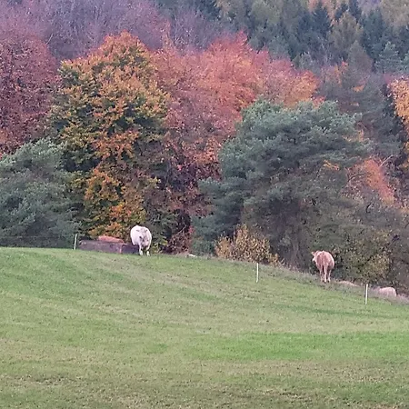 Appartamento Ah Helledahls