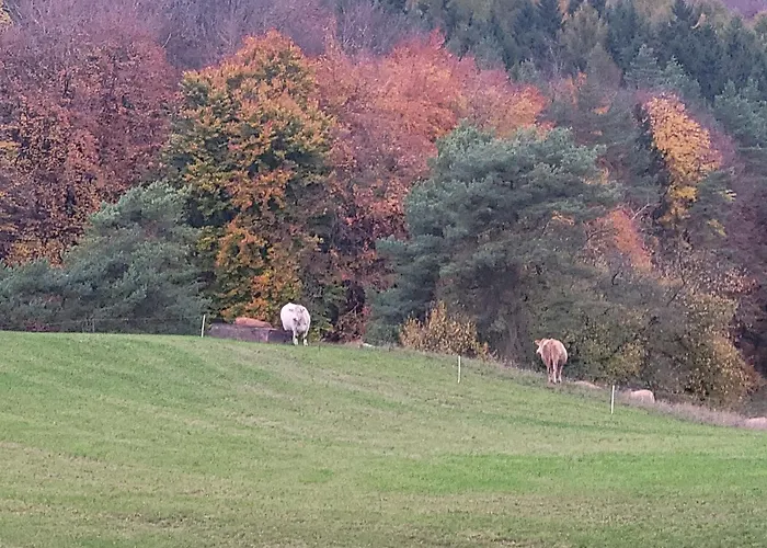 Appartement Ah Helledahls